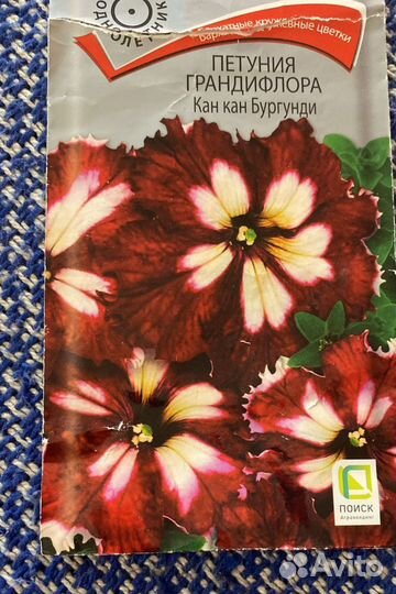 Петуния грандифлора