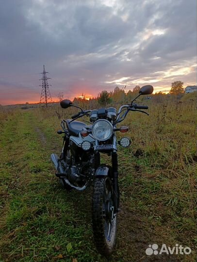 Motoland Alpha Rx 11