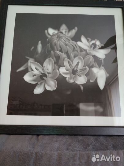 Картина постер IKEA