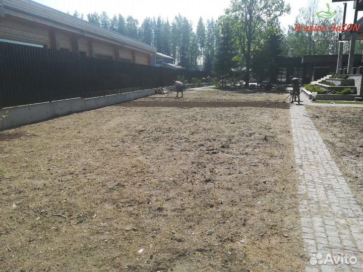 Рулонный газон арт.88