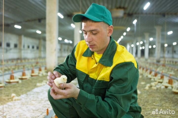 Подсобный рабочий