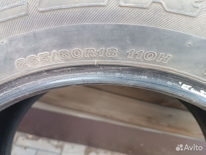 Bridgestone Blizzak DM-V1 265/60 R18 и 260/60 R18 110H