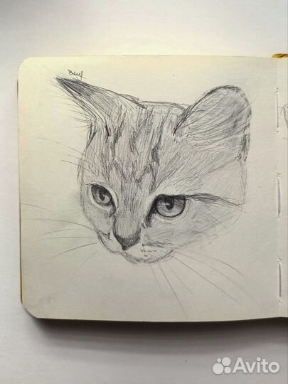 Рисунки на заказ по фото