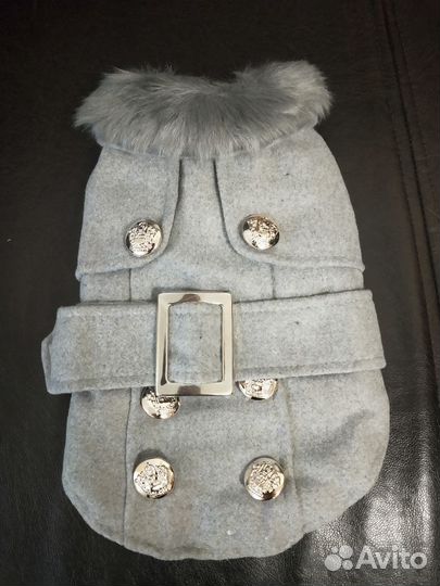 Одежда для животных