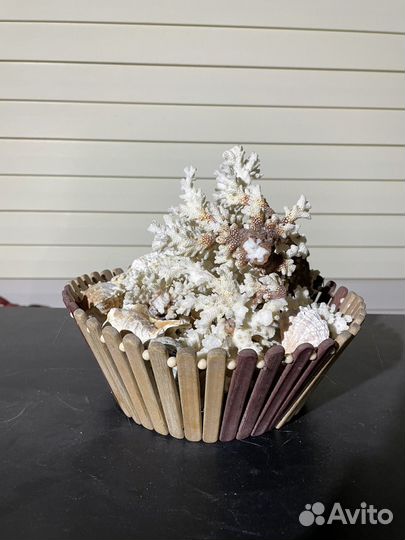 Натуральные ракушки, кораллы