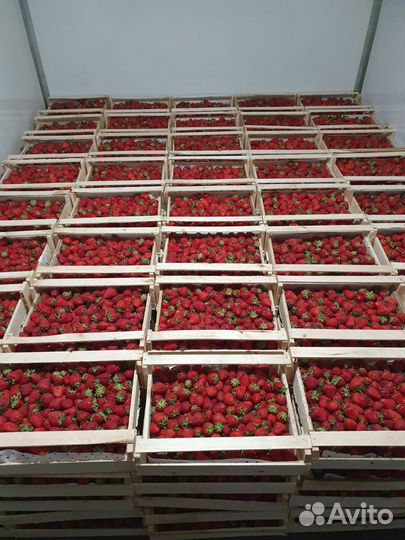 Клубника свежая