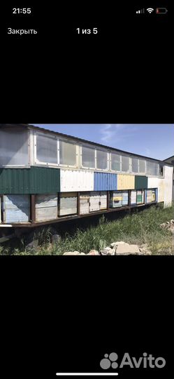 Продам ульи