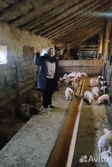 Ищу инвестора для бизнеса