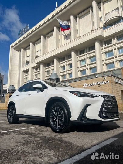 Lexus NX 2.5 AT, 2022, 50 км