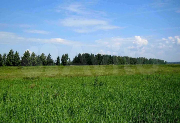 Участок 6,32 га (СНТ, ДНП)