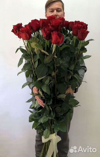 Высокие розы Гигантские розы 110