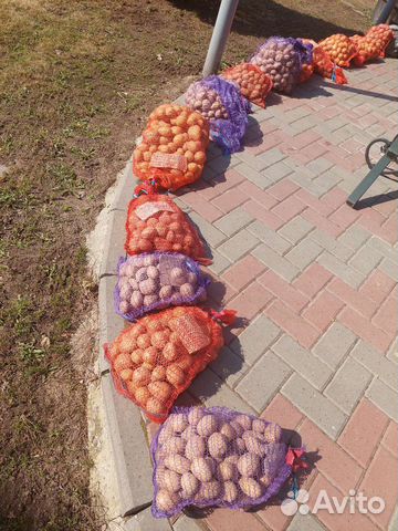 Семенной картофель купить в Нижнем Новгороде | Товары для дома и дачи ...