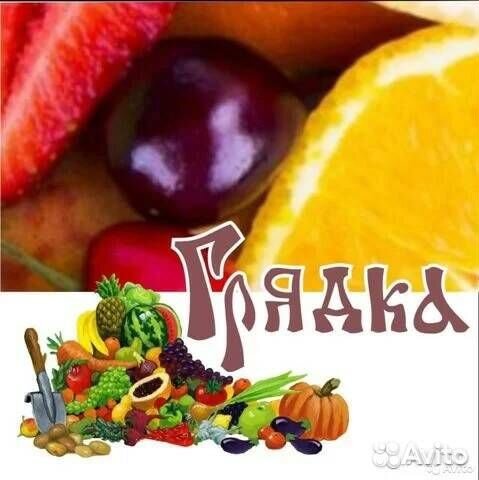 Продавец сети 