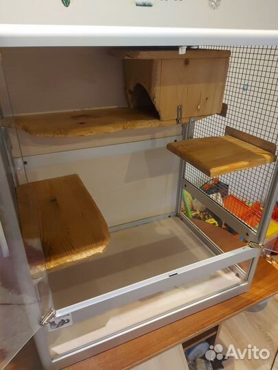 Витрина для шиншилл