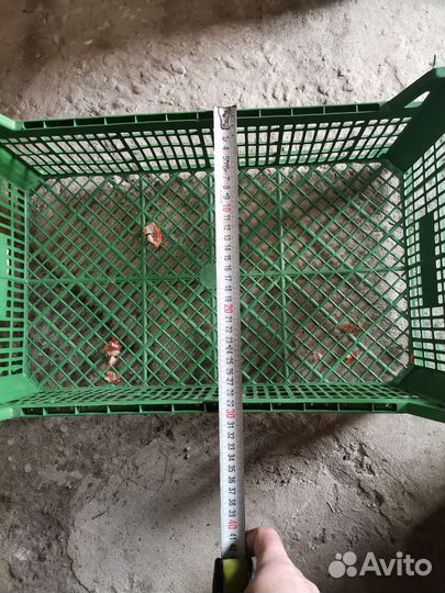 Ящик для овощей и фруктов