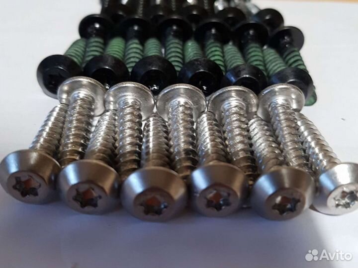 250000828 винт torx M6.81X30