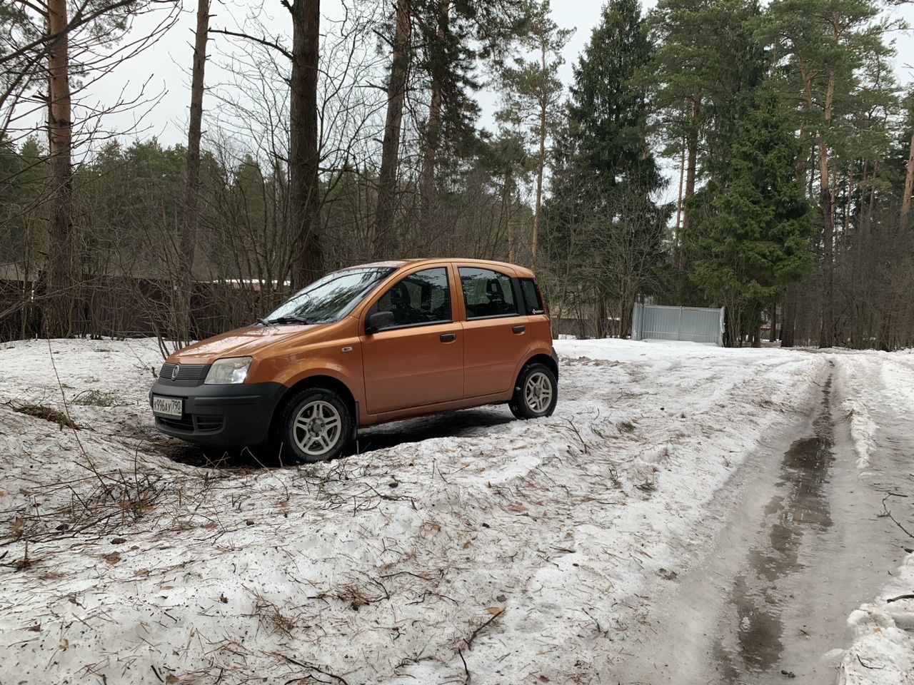 FIAT Panda: фото владельца