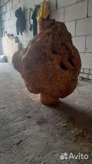 Сувель ольхи