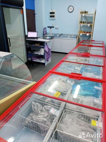 Кижуч лосось Камчатка