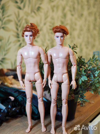 Кен BMR рыжик