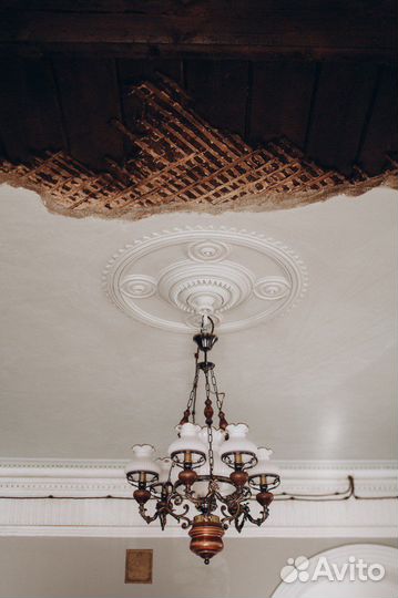 Аренда студии Лизхен Оливер