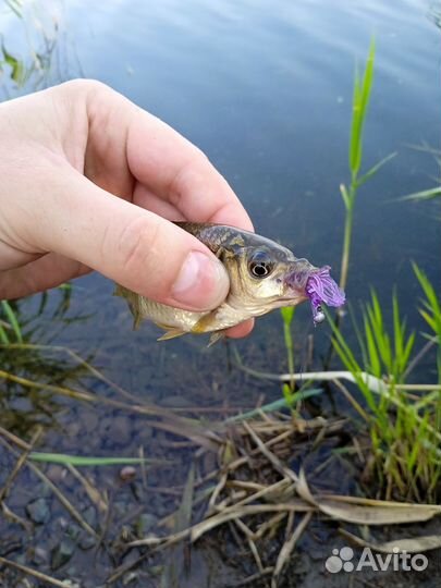 Мормышки для мормышинга