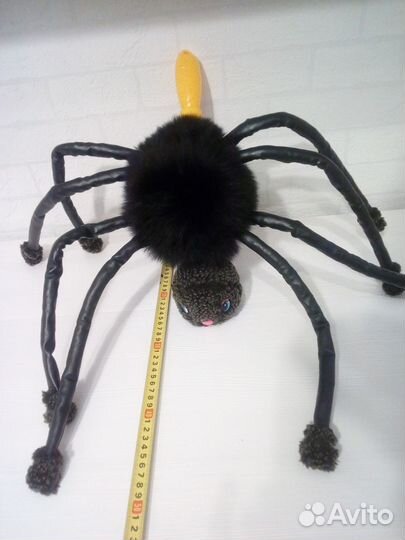 Отдам. Паук