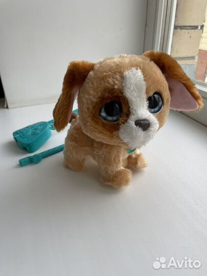 Собака каталка от fisher price