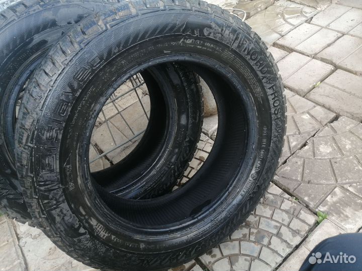 Gislaved NordFrost 100 175/65 R14 86