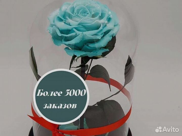 Вечная роза в колбе