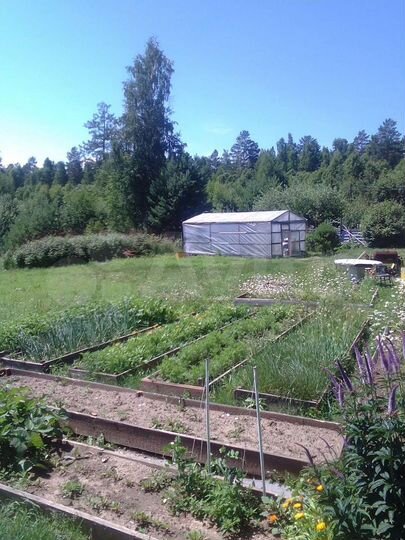 Дача 60 м² на участке 12,5 сот.