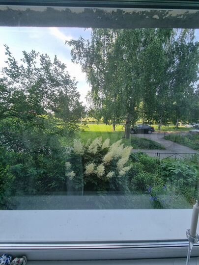 3-к. квартира, 64,9 м², 1/4 эт.