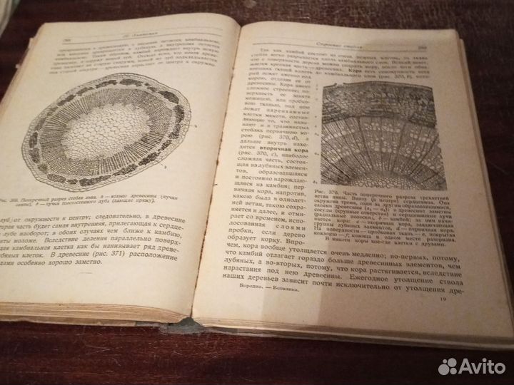 Бородин / Краткий учебник ботаники