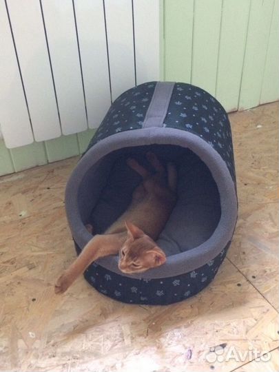 Домик лежанка для кошки