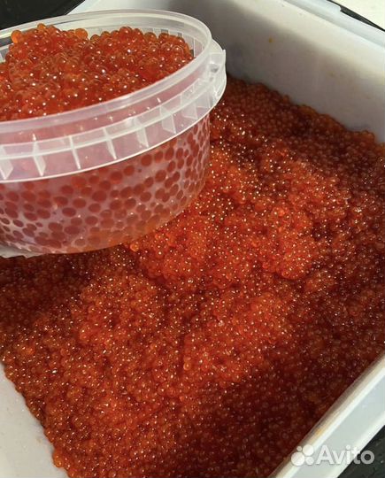 Красная икра Горбуши опт 1000 г. 2023