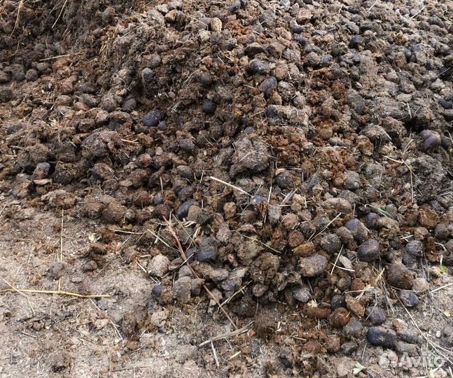 Навоз конский отборный куб