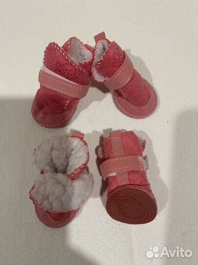 Товары для животных