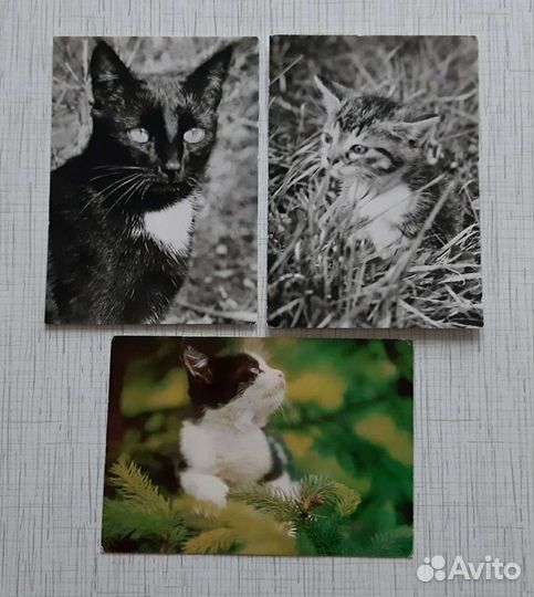 Котики открытки DDR и Болгария