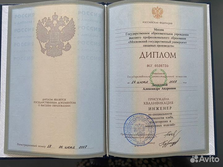 Русский язык как иностранный