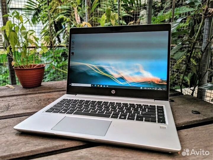 HP ProBook 445 G7 Ryzen 5 4500 6-ядер 32Gb/1Tb SSD