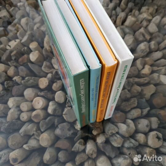 Шри Раджниш (ошо), Дзен, Буддизм