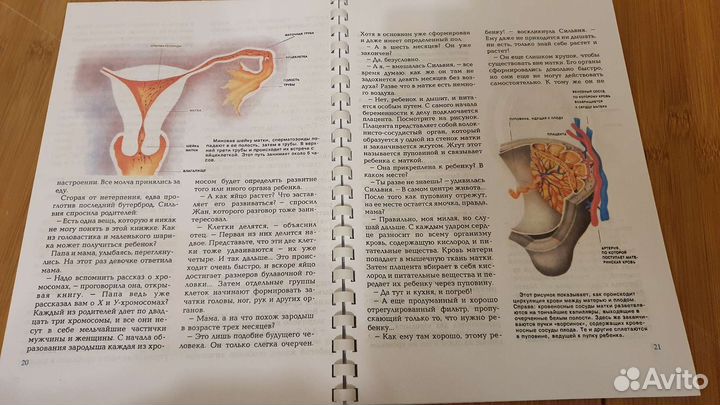 Энциклопедия сексуальной жизни