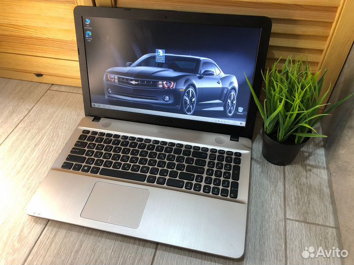 Ноутбук asus D541N
