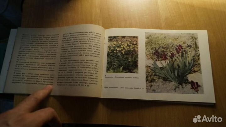 1969,10 путеводитель по экспозициям отдела флоры