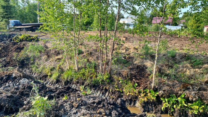 Участок 16 сот. (СНТ, ДНП)