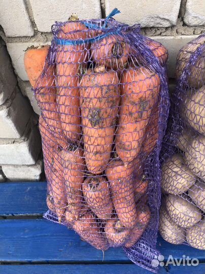 Картофель Лук Морковь Капуста