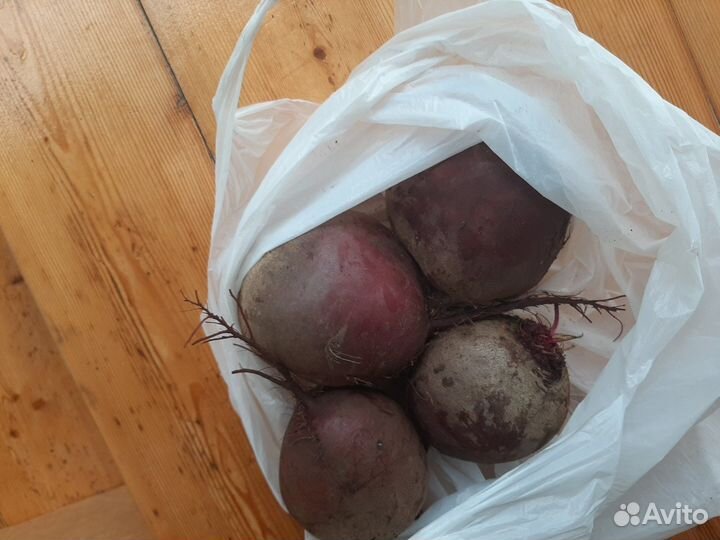 Картошка, морковь, Свёкла, новый урожай