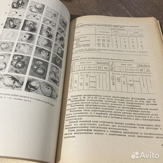 Культура изолированных органов тканей