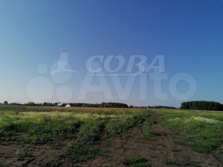 Участок 8 сот. (ИЖС)