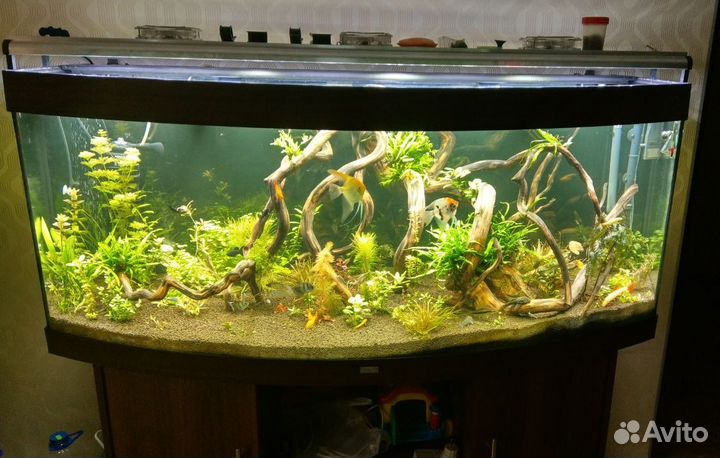 LED светильник для пресноводных аквариумов